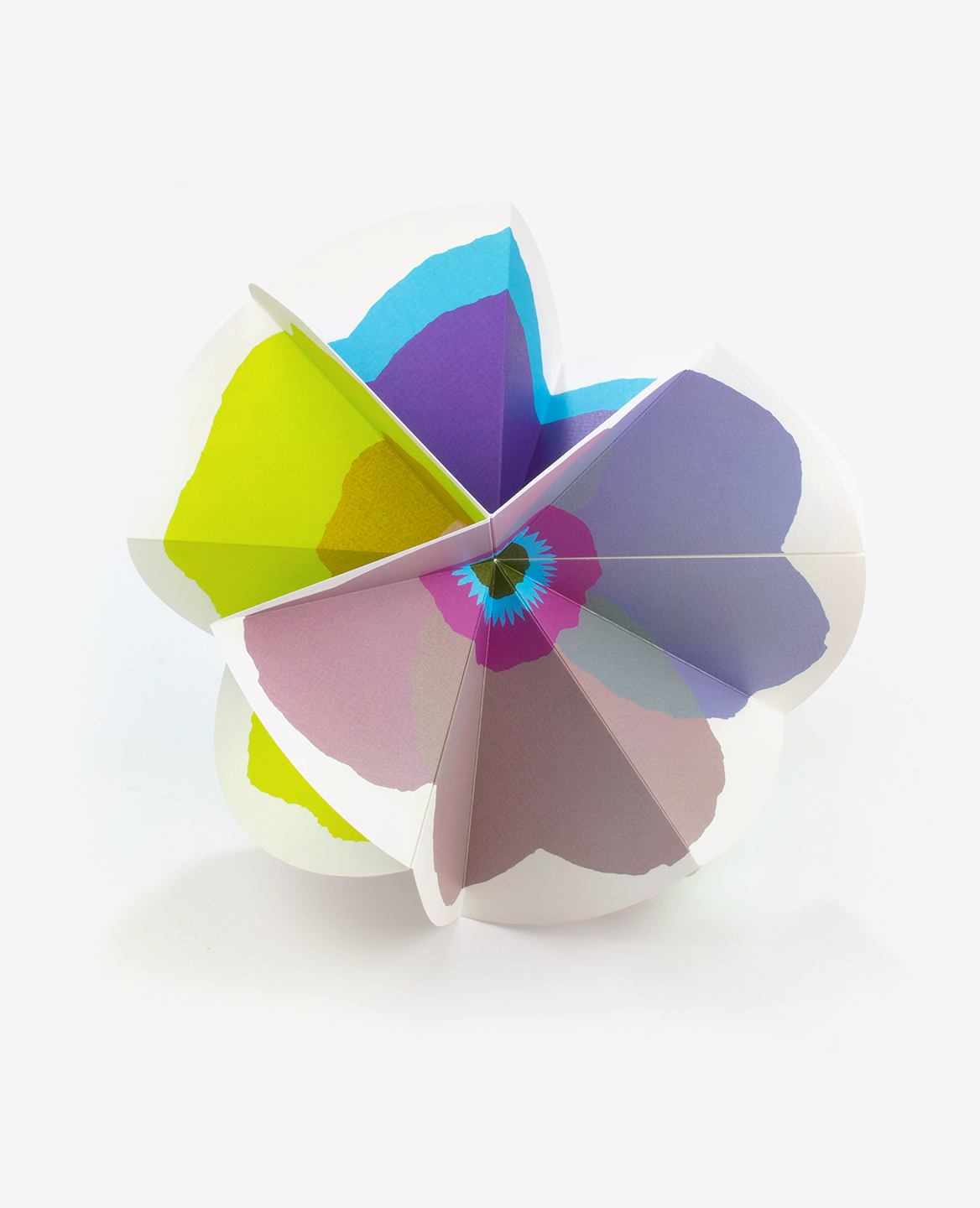 bloom-2-julie-safirstein-editions-du-livre-7-1168x1440