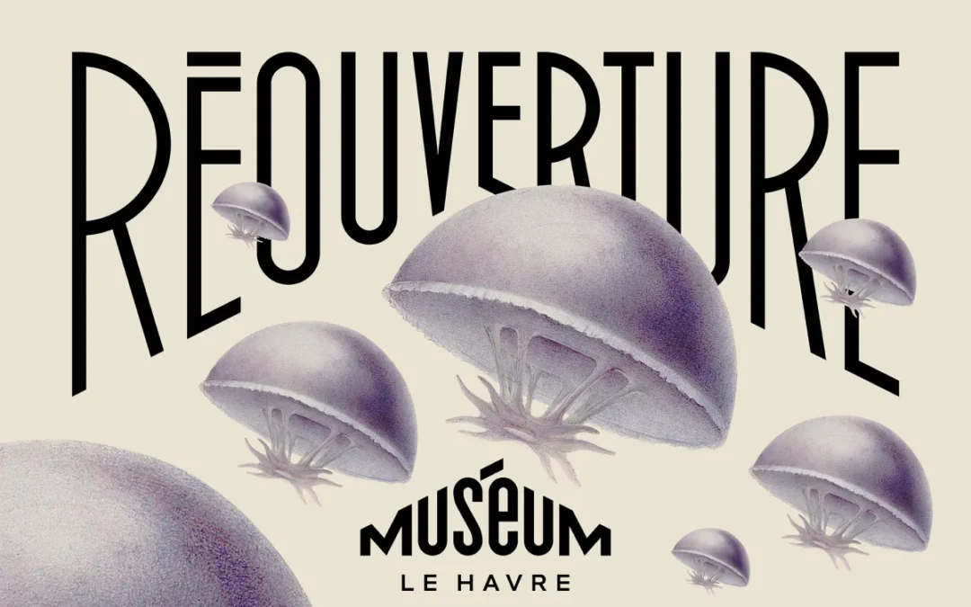 Réouverture du muséum du Havre